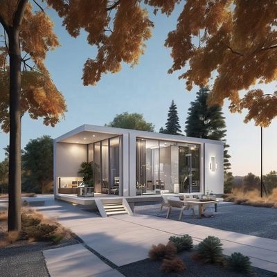 Flexible Luxury Modern Container Homes Compact Flame Retardant Tiny Cabin House